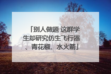 别人做题 这群学生却研究仿生飞行器、青花椒、水火箭