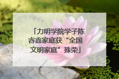 力明学院学子陈睿鑫家庭获“全国文明家庭”殊荣