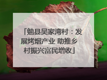 勉县吴家湾村：发展烤烟产业 助推乡村振兴富民增收