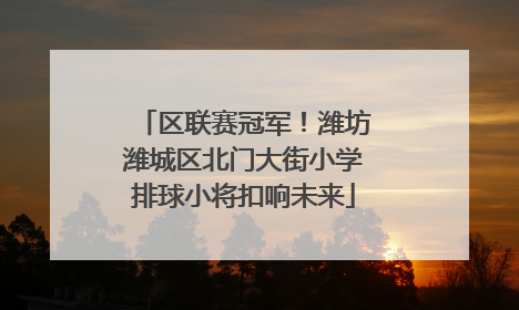 区联赛冠军！潍坊潍城区北门大街小学排球小将扣响未来
