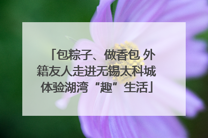 包粽子、做香包 外籍友人走进无锡太科城体验湖湾“趣”生活