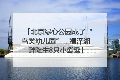 北京绿心公园成了“鸟类幼儿园”，福泽湖畔降生8只小鸳鸯