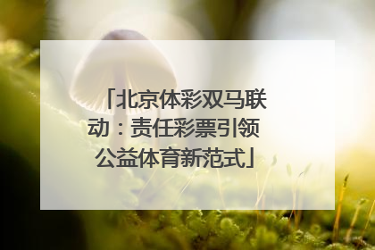 北京体彩双马联动：责任彩票引领公益体育新范式
