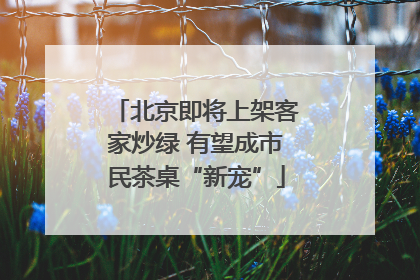 北京即将上架客家炒绿 有望成市民茶桌“新宠”
