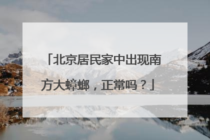 北京居民家中出现南方大蟑螂，正常吗？
