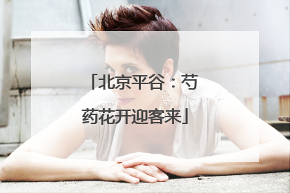 北京平谷：芍药花开迎客来