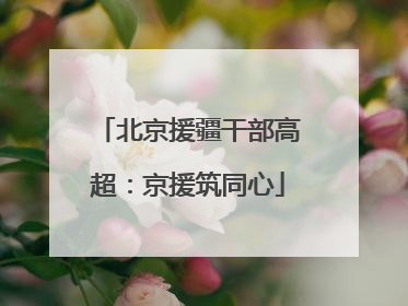北京援疆干部高超：京援筑同心