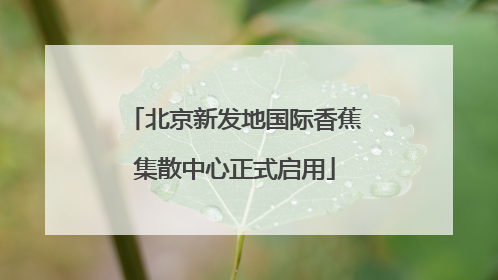 北京新发地国际香蕉集散中心正式启用