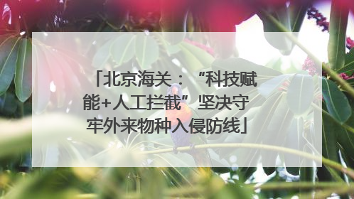 北京海关：“科技赋能+人工拦截”坚决守牢外来物种入侵防线