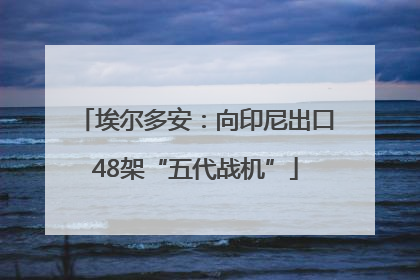 埃尔多安：向印尼出口48架“五代战机”