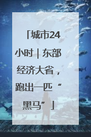 城市24小时｜东部经济大省，跑出一匹“黑马”