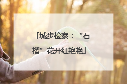 城步检察：“石榴”花开红艳艳