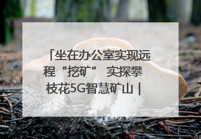 坐在办公室实现远程“挖矿” 实探攀枝花5G智慧矿山｜网络名人四川行