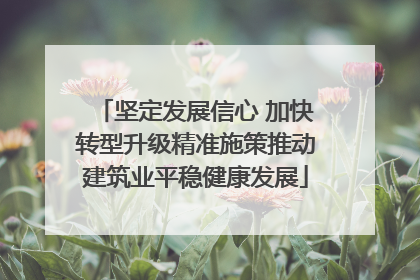 坚定发展信心 加快转型升级精准施策推动建筑业平稳健康发展