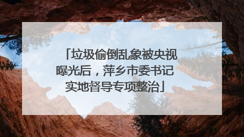 垃圾偷倒乱象被央视曝光后，萍乡市委书记实地督导专项整治