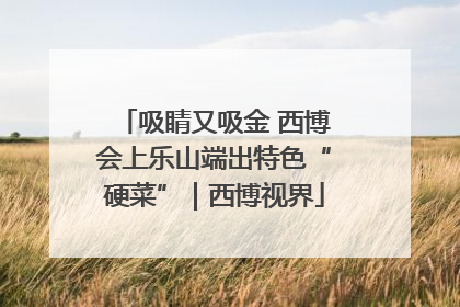 吸睛又吸金 西博会上乐山端出特色“硬菜”｜西博视界