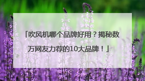 吹风机哪个品牌好用？揭秘数万网友力荐的10大品牌！