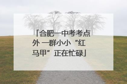 合肥一中考考点外 一群小小“红马甲”正在忙碌