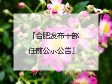合肥发布干部任前公示公告