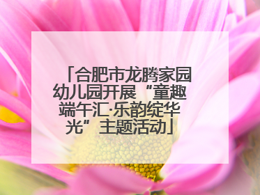 合肥市龙腾家园幼儿园开展“童趣端午汇·乐韵绽华光”主题活动