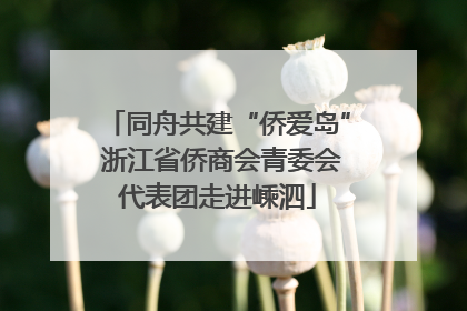 同舟共建“侨爱岛” 浙江省侨商会青委会代表团走进嵊泗