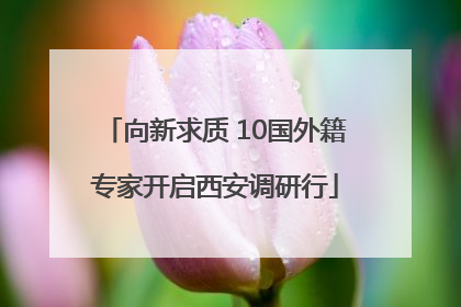 向新求质 10国外籍专家开启西安调研行