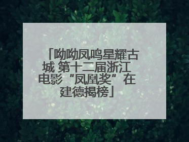 呦呦凤鸣星耀古城 第十二届浙江电影“凤凰奖”在建德揭榜