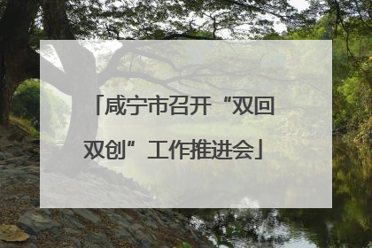 咸宁市召开“双回双创”工作推进会