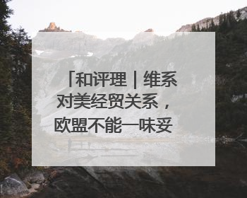 和评理｜维系对美经贸关系，欧盟不能一味妥协让步