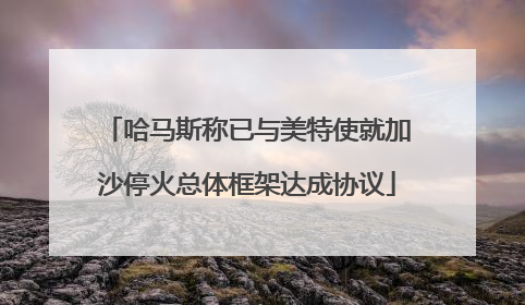 哈马斯称已与美特使就加沙停火总体框架达成协议