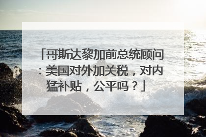 哥斯达黎加前总统顾问：美国对外加关税，对内猛补贴，公平吗？