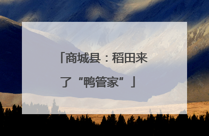 商城县：稻田来了“鸭管家”