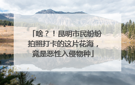 啥？！昆明市民纷纷拍照打卡的这片花海，竟是恶性入侵物种