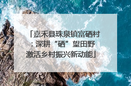 嘉禾县珠泉镇富硒村：深耕“硒”望田野 激活乡村振兴新动能