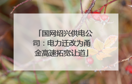 国网绍兴供电公司：电力迁改为甬金高速拓宽让道