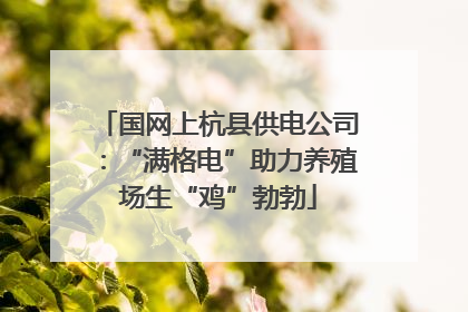 国网上杭县供电公司：“满格电”助力养殖场生“鸡”勃勃