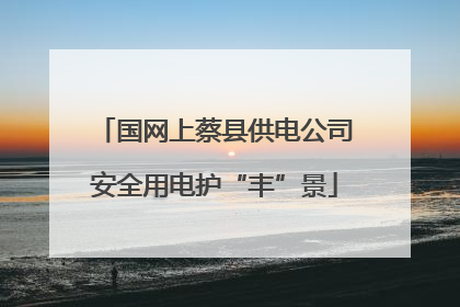 国网上蔡县供电公司安全用电护“丰”景
