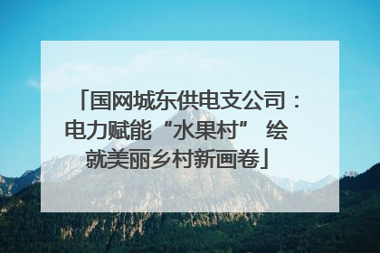国网城东供电支公司：电力赋能“水果村” 绘就美丽乡村新画卷