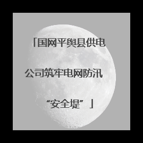 国网平舆县供电公司筑牢电网防汛“安全堤”
