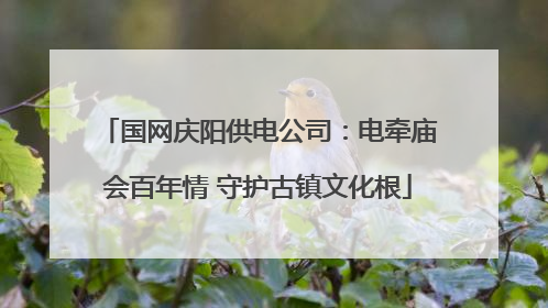 国网庆阳供电公司：电牵庙会百年情 守护古镇文化根