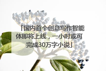国内首个创意写作智能体即将上线，一小时或可完成30万字小说