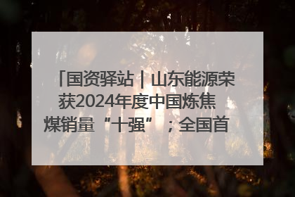 国资驿站｜山东能源荣获2024年度中国炼焦煤销量“十强”；全国首例铁路盖上智慧物流园钢结构主体完工