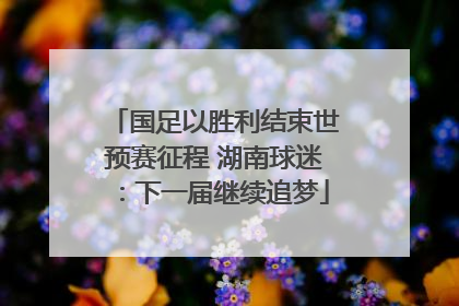 国足以胜利结束世预赛征程 湖南球迷：下一届继续追梦