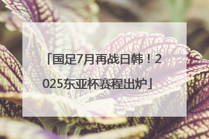 国足7月再战日韩！2025东亚杯赛程出炉
