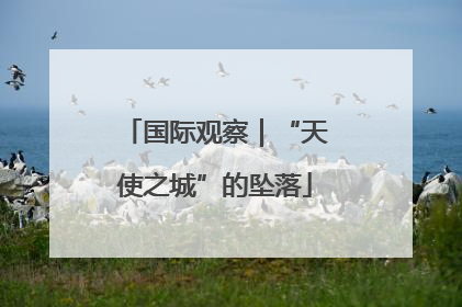国际观察｜“天使之城”的坠落