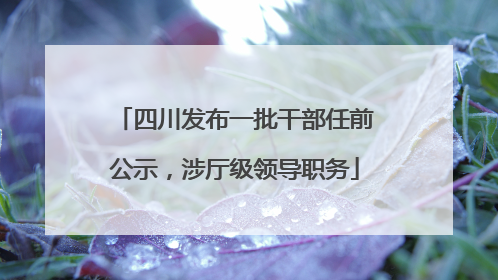 四川发布一批干部任前公示，涉厅级领导职务