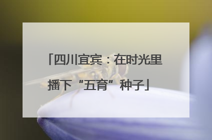 四川宜宾：在时光里播下“五育”种子