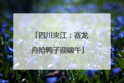 四川夹江：赛龙舟抢鸭子迎端午