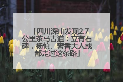 四川深山发现2.7公里茶马古道：立有石碑，杨慎、奢香夫人或都走过这条路