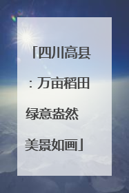 四川高县：万亩稻田绿意盎然 美景如画